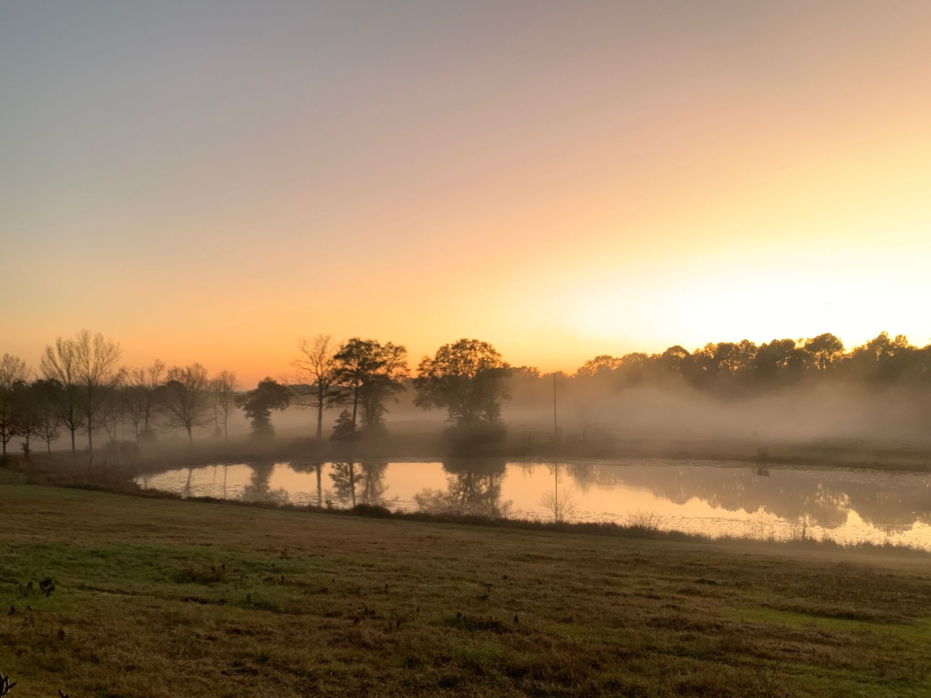 Misty sunrise over a marshy field with trees silhouetted against a golden sky