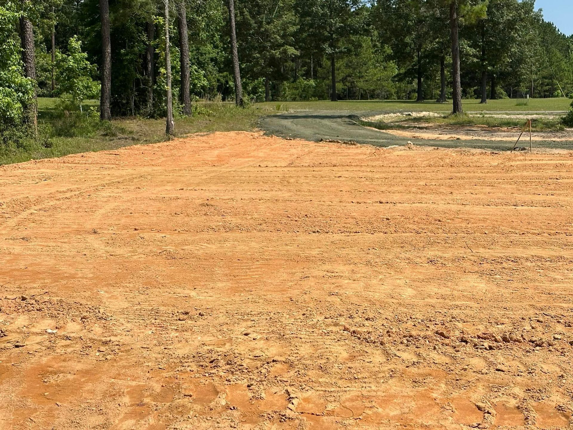 Cleared dirt lot bordered by trees under a bright sky
