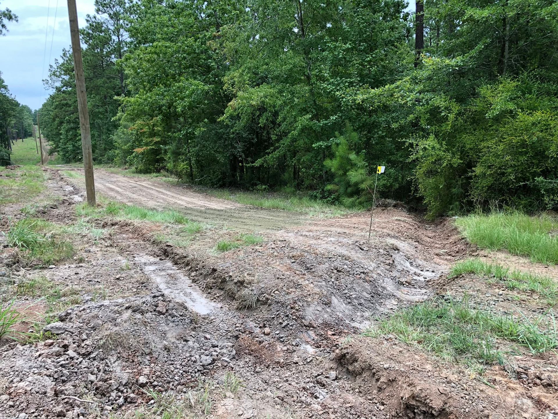 Muddy dirt road beside a grassy forest edge under cloudy skies