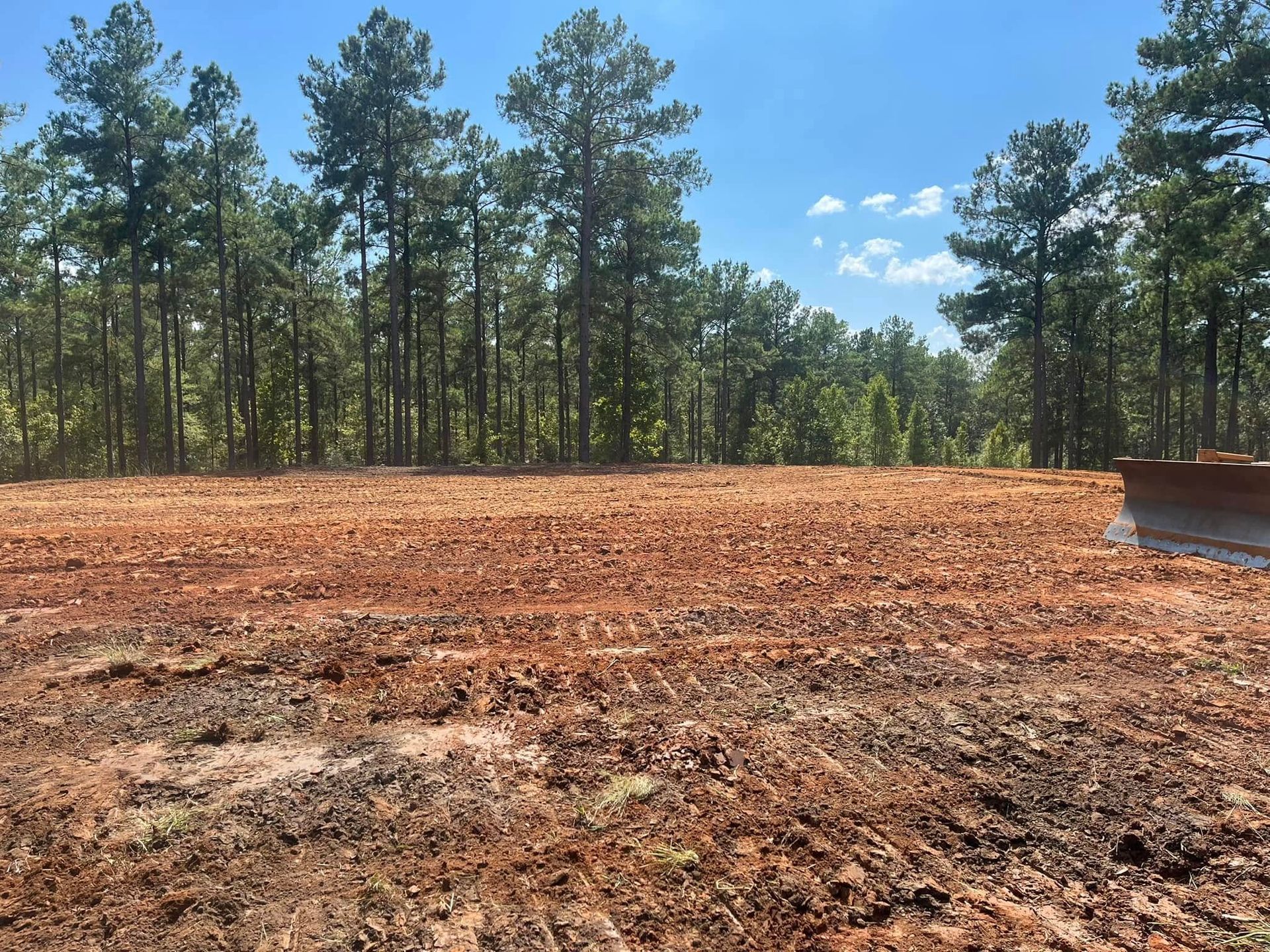 Cleared dirt lot bordered by pine trees under a bright blue sky