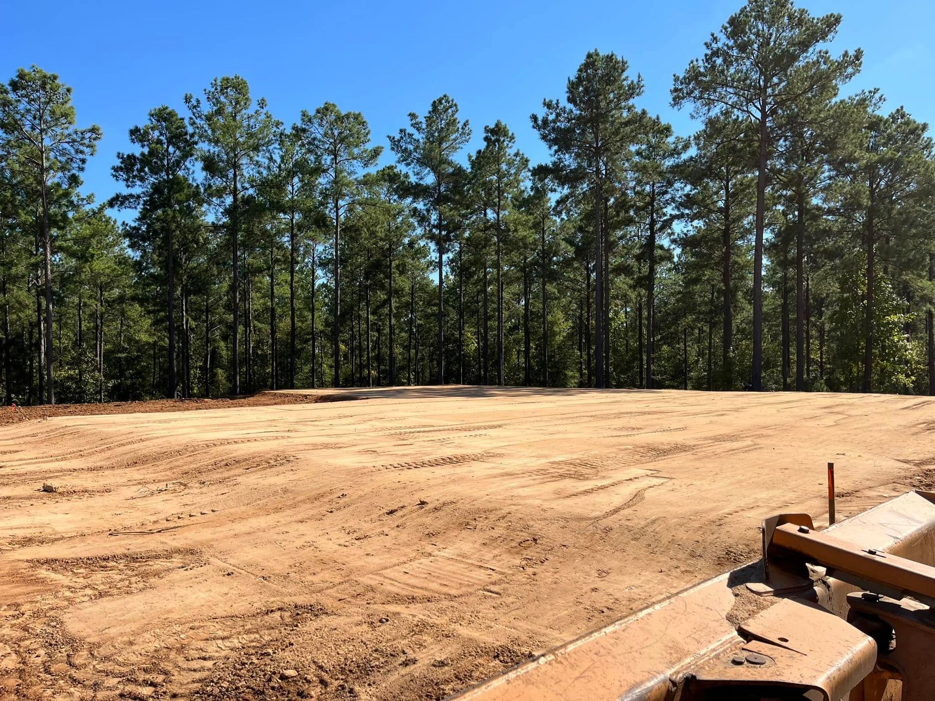Cleared dirt lot beside a pine forest under a bright blue sky