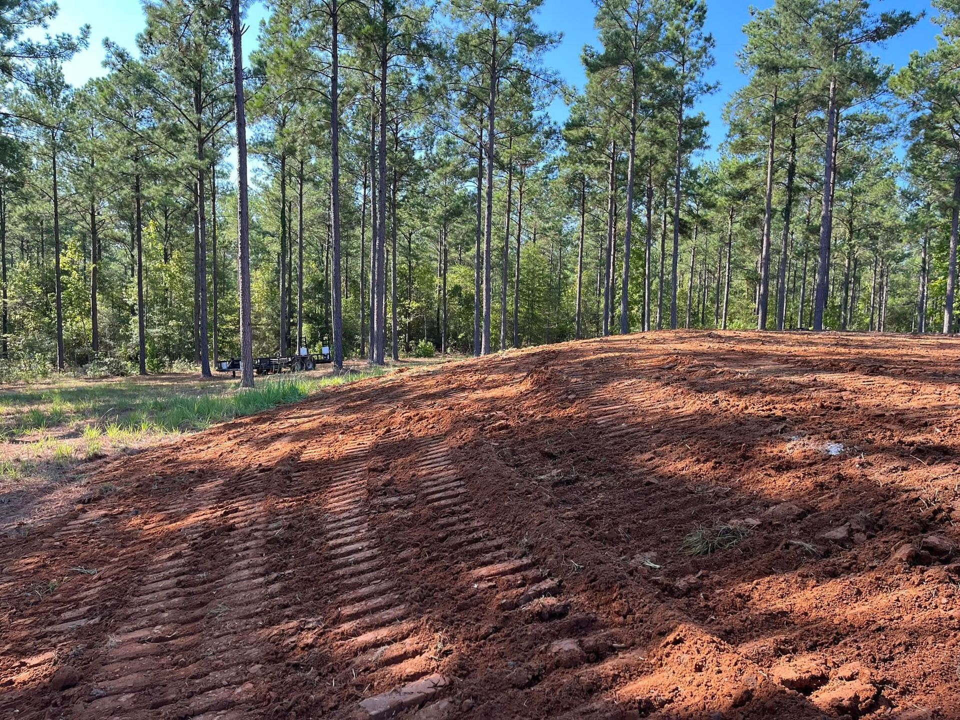 Freshly graded red dirt mound in a pine forest under a clear blue sky