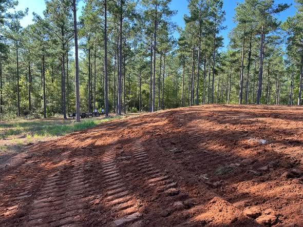 Freshly tilled red dirt clearing in a pine forest under a clear blue sky