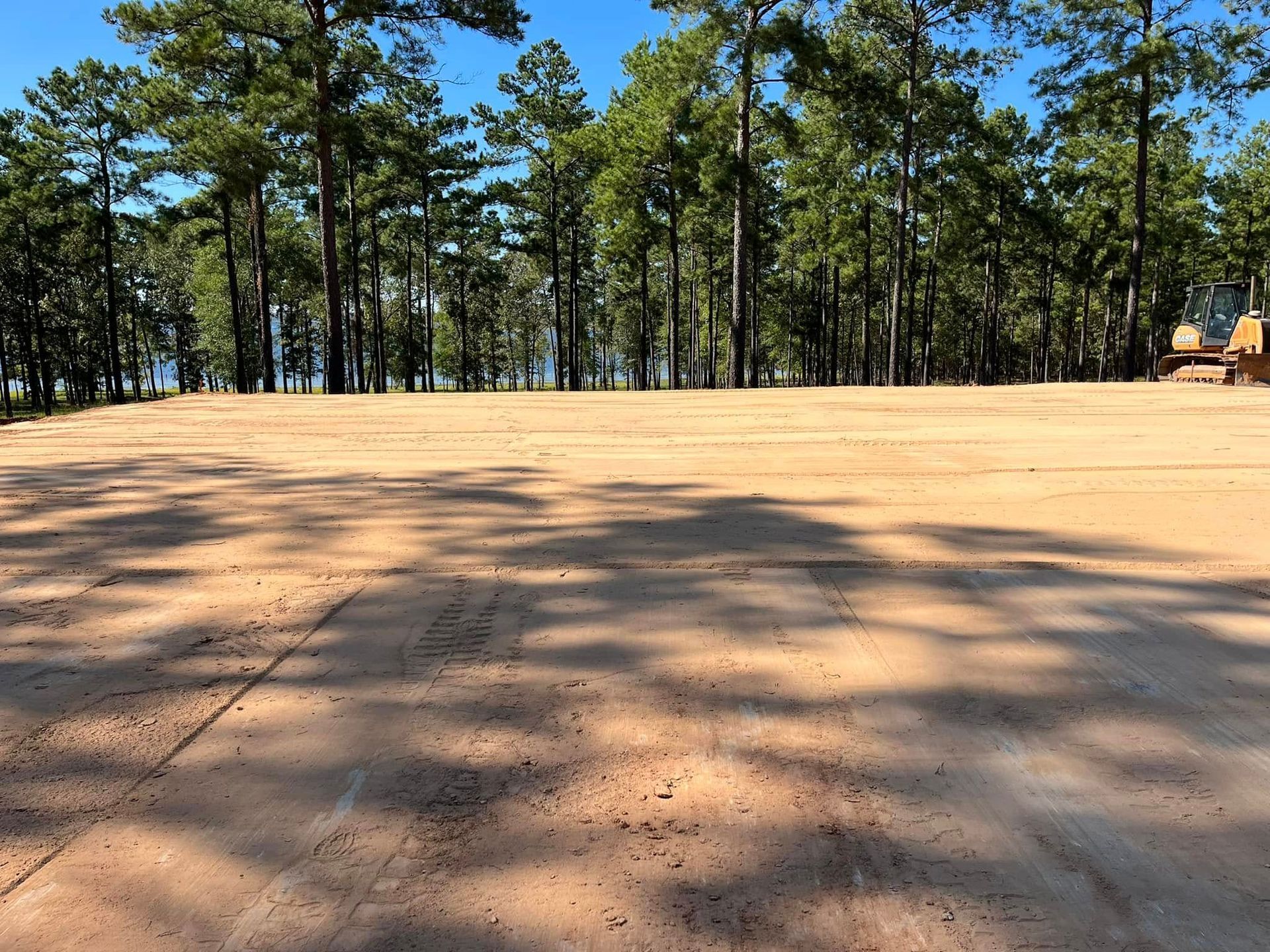 Cleared sandy lot with pine trees in the background under a bright blue sky