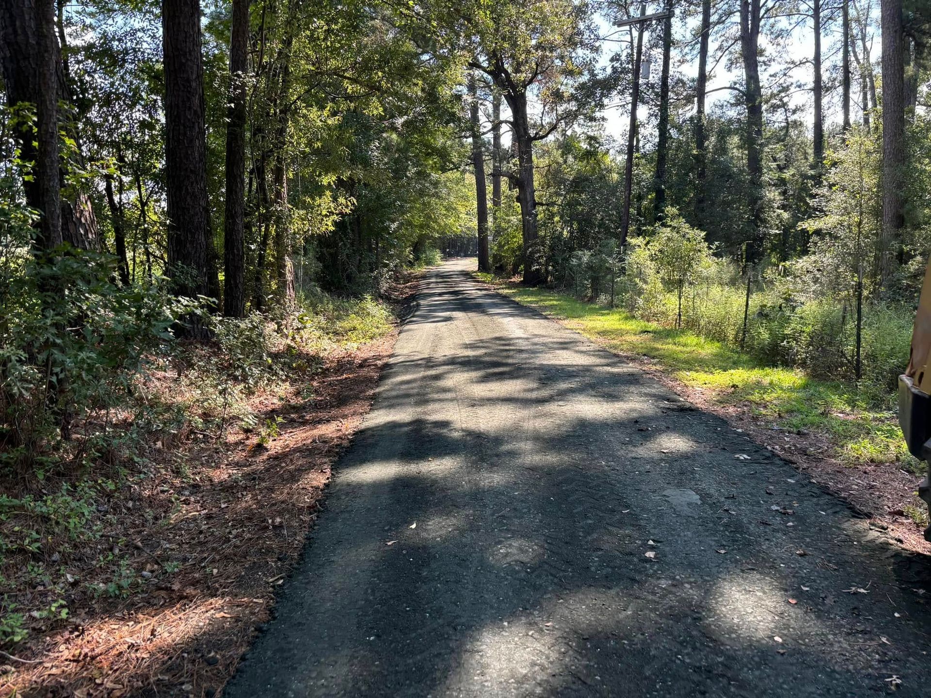 Gravel path through a sunlit wooded area with trees and dappled shadows