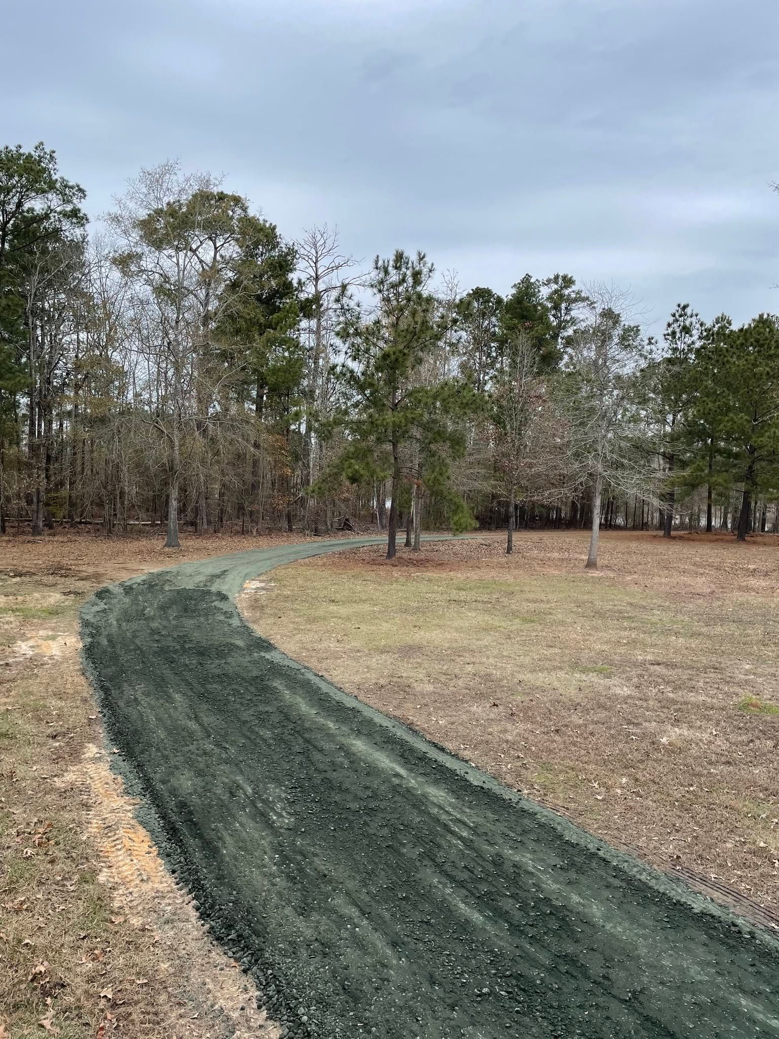 Curving dark path through a dry grassy clearing with trees under an overcast sky