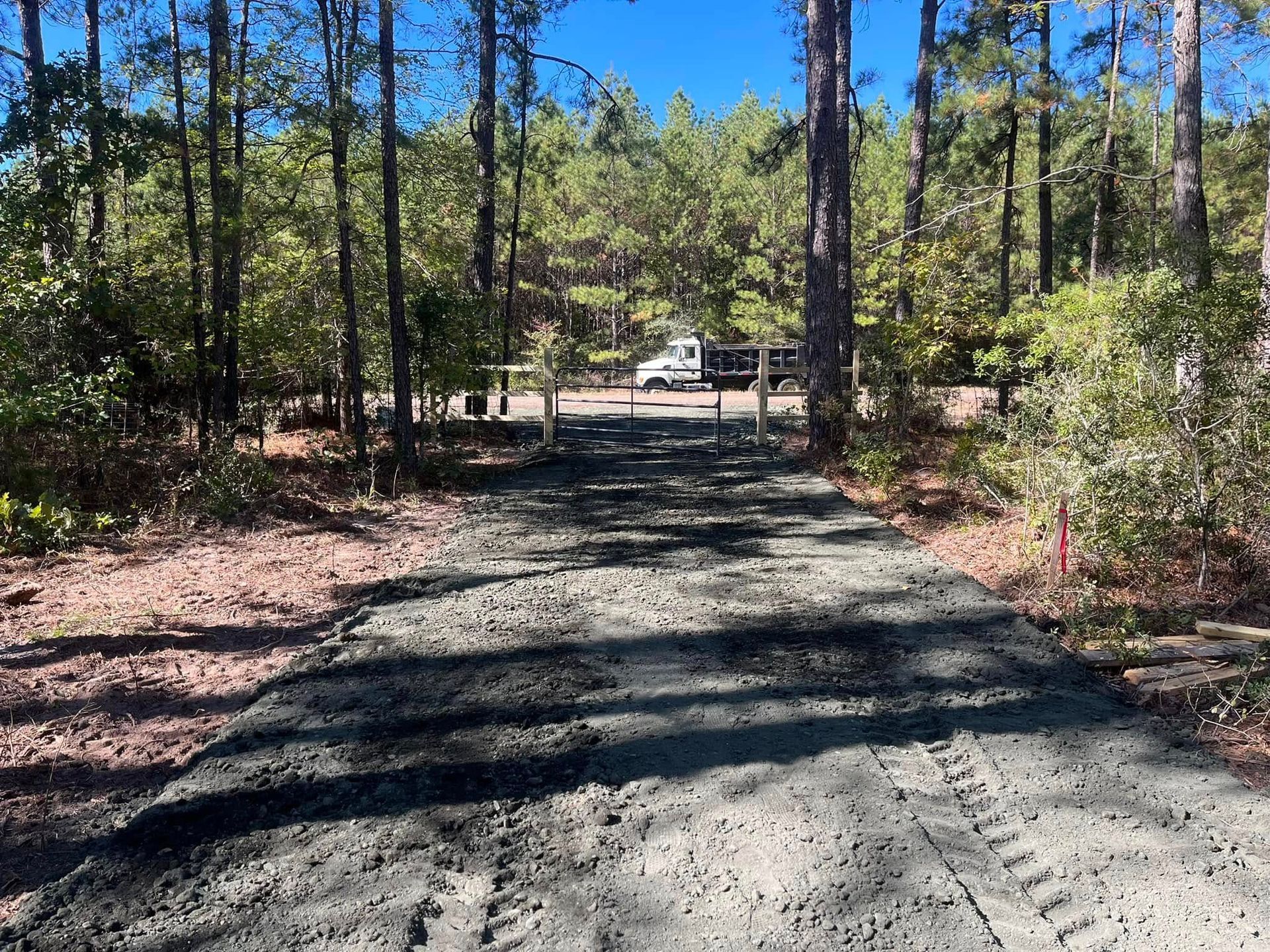 Gravel driveway through pine trees leading to a gate in bright sunlight