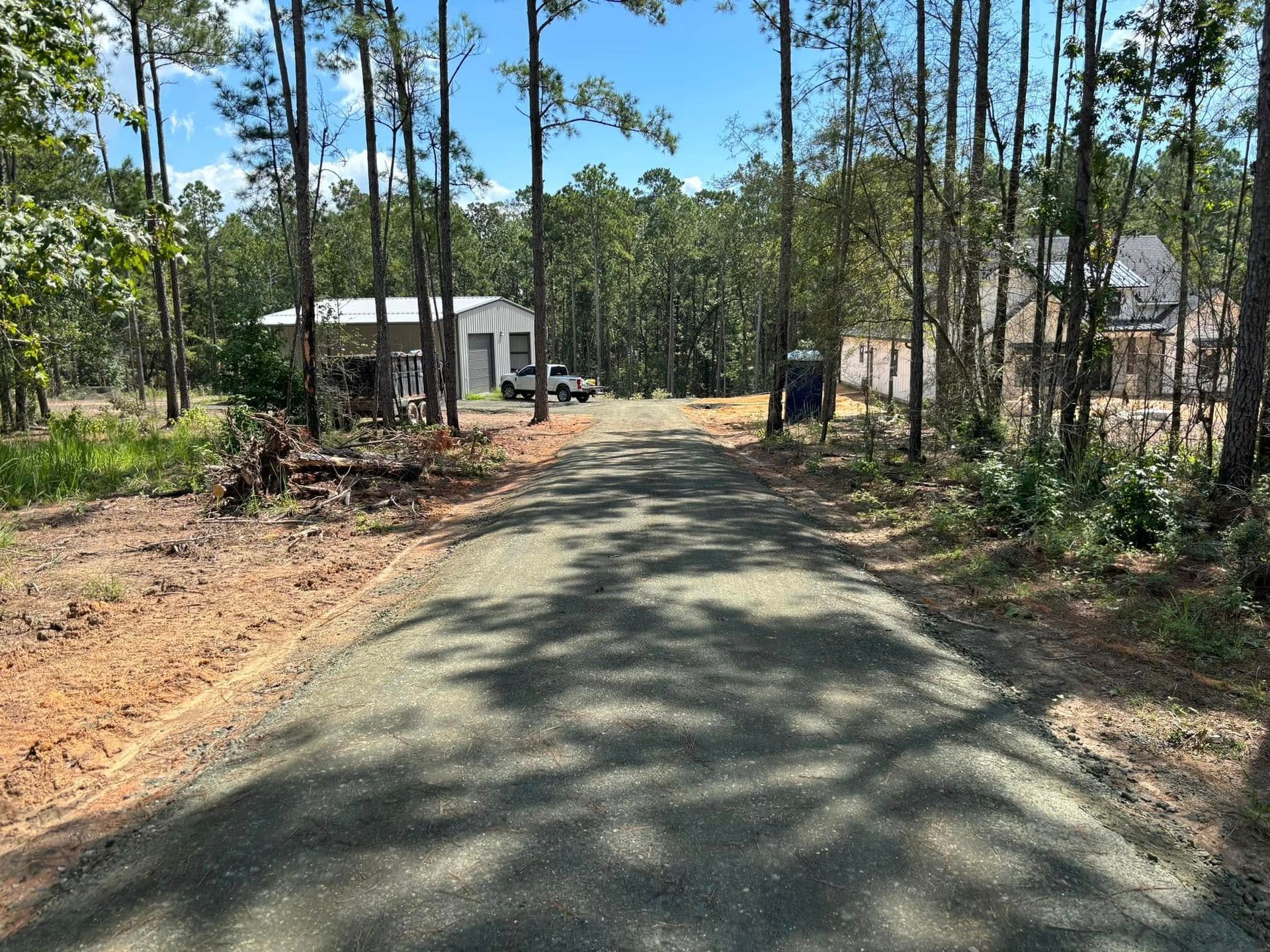 Paved driveway through pine trees leading to a small house and shed in a wooded rural yard