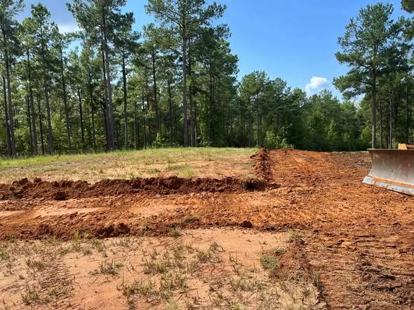 Cleared dirt construction site with scattered pine trees under a blue sky