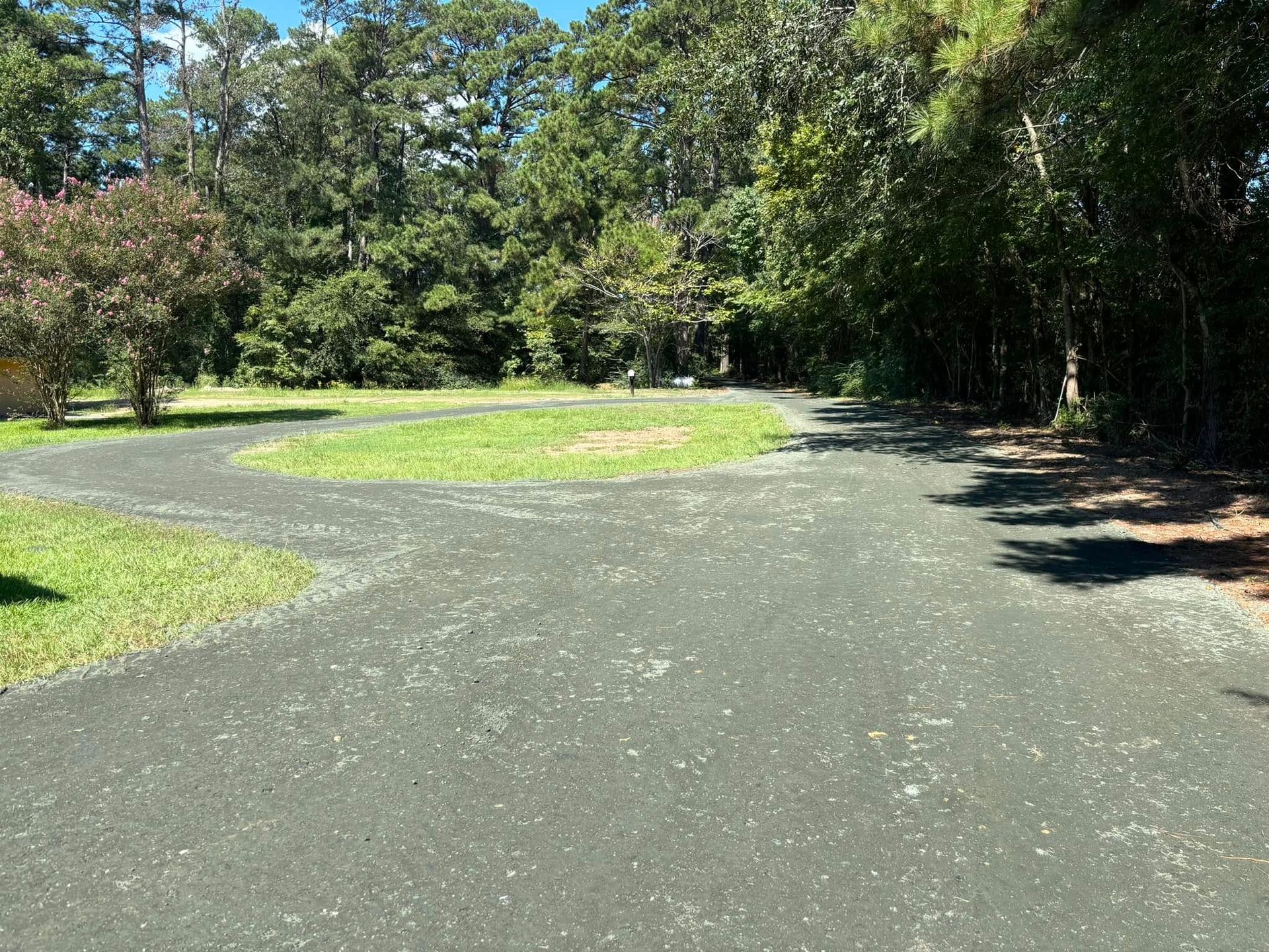Sunlit winding paved path through a green park with trees and grass
