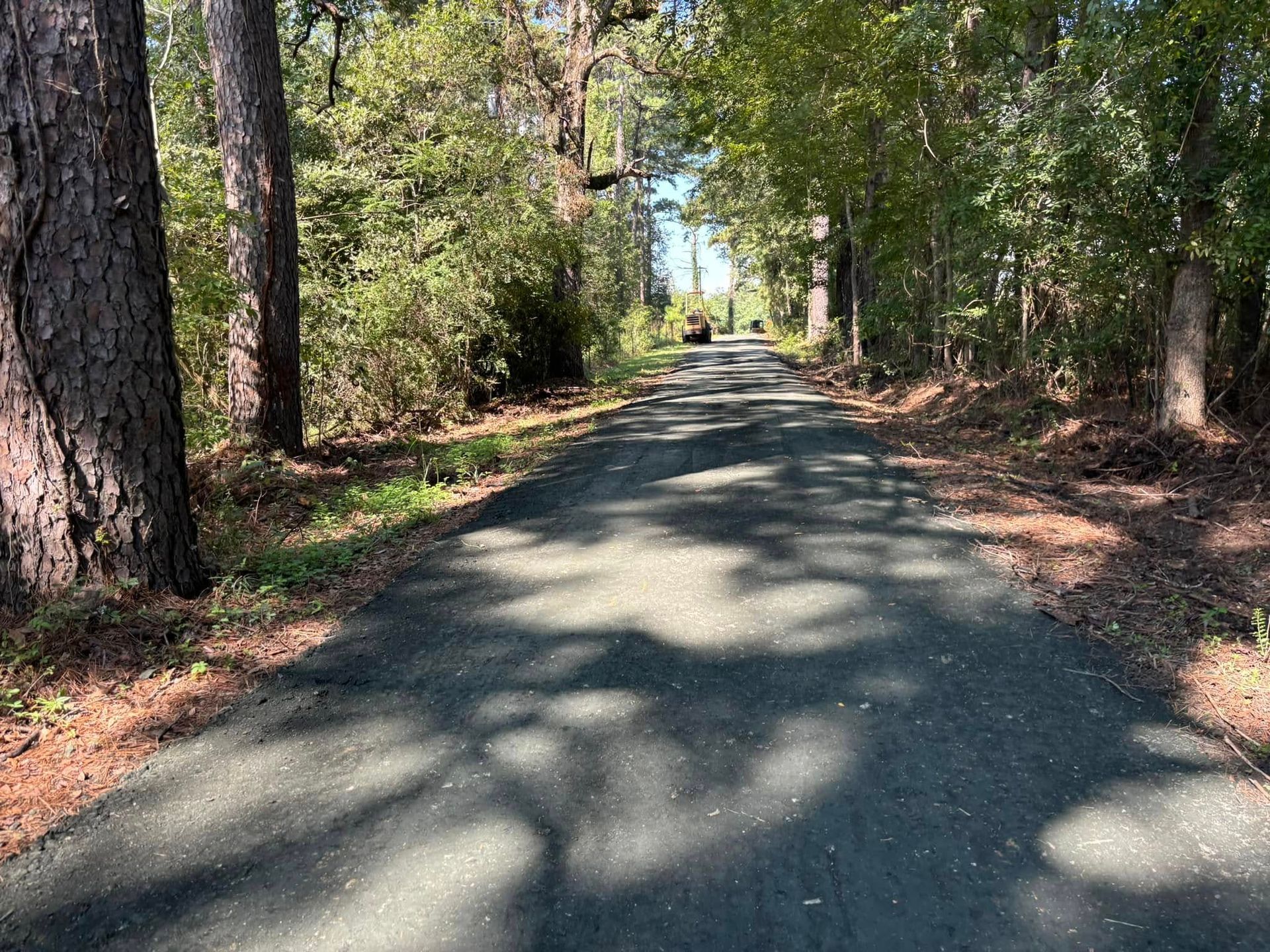 Tree-lined paved road with dappled sunlight stretching into the distance