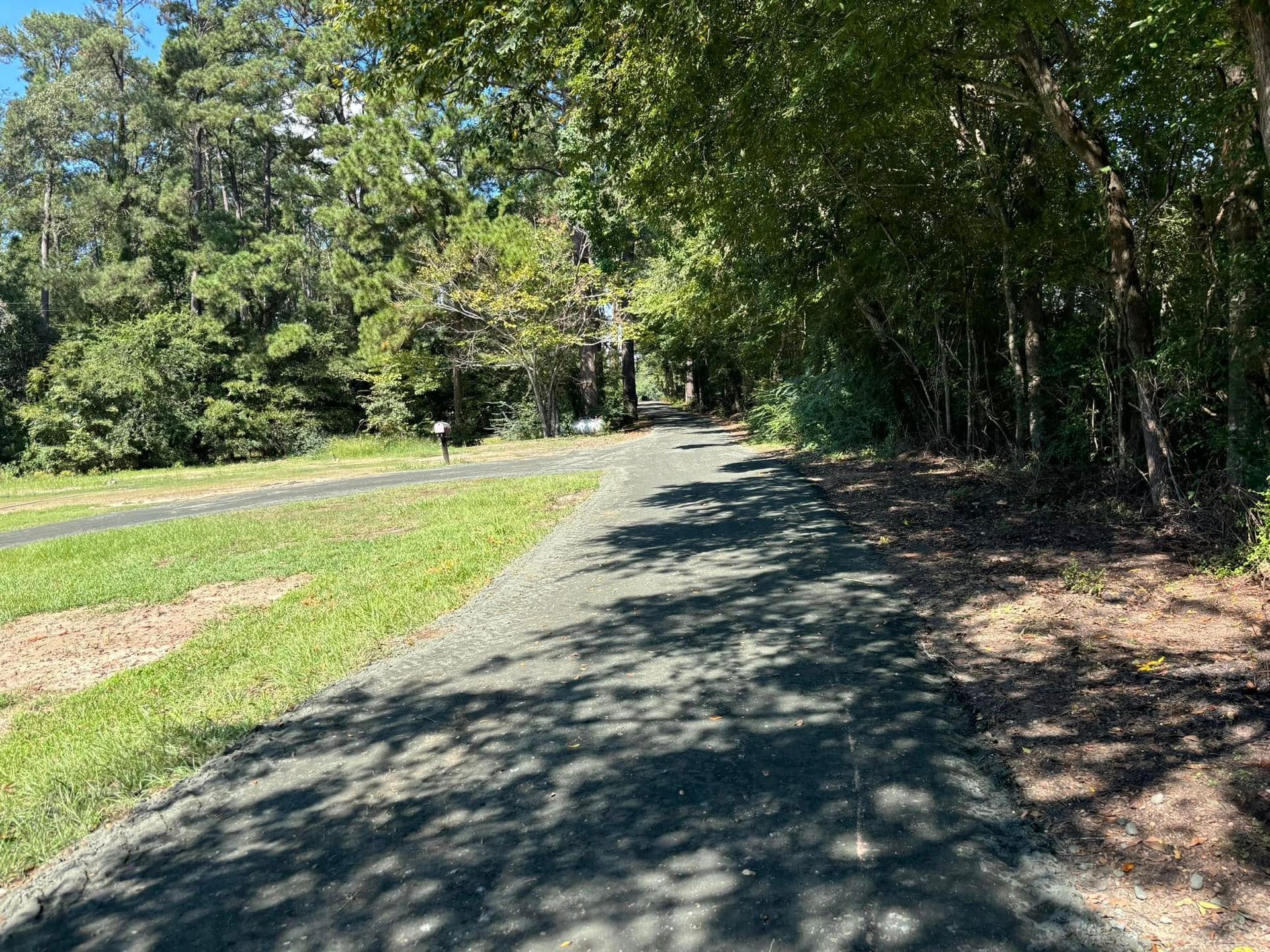 Shaded paved trail beside a grassy park road with trees on both sides