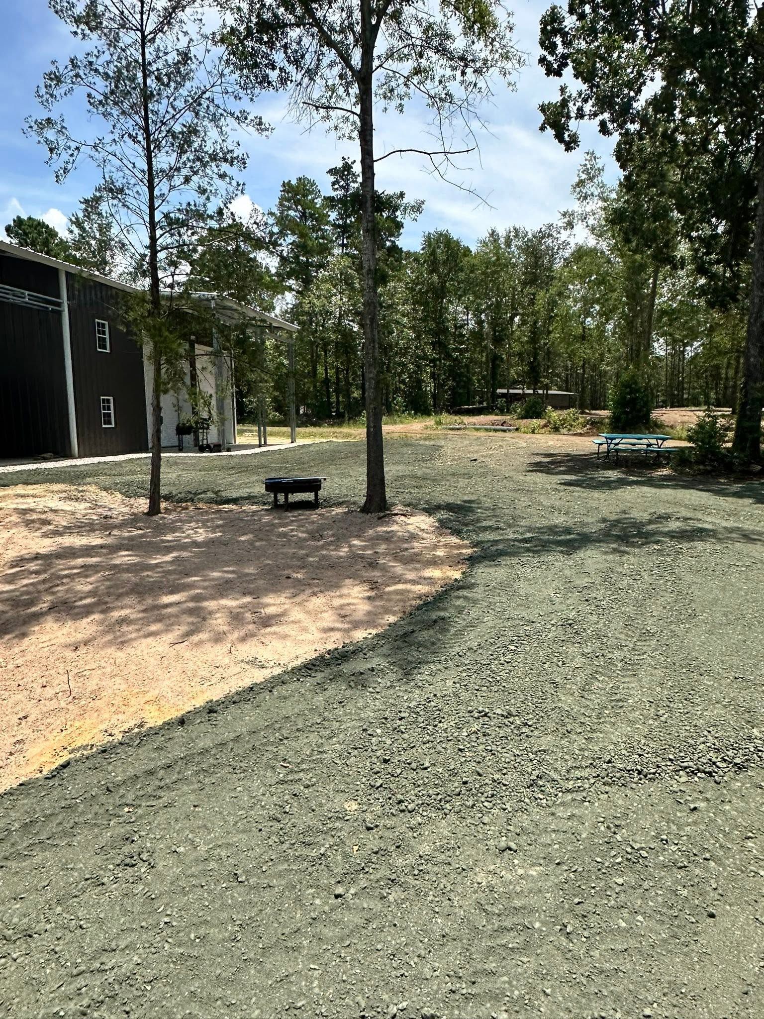 Gravel path curving through a pine-wooded yard beside a dark building under a blue sky