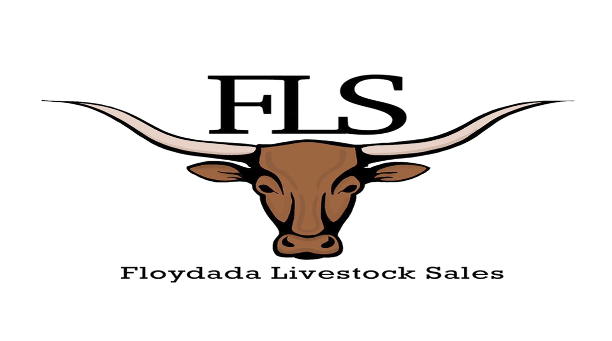 Floydada Livestock Auction