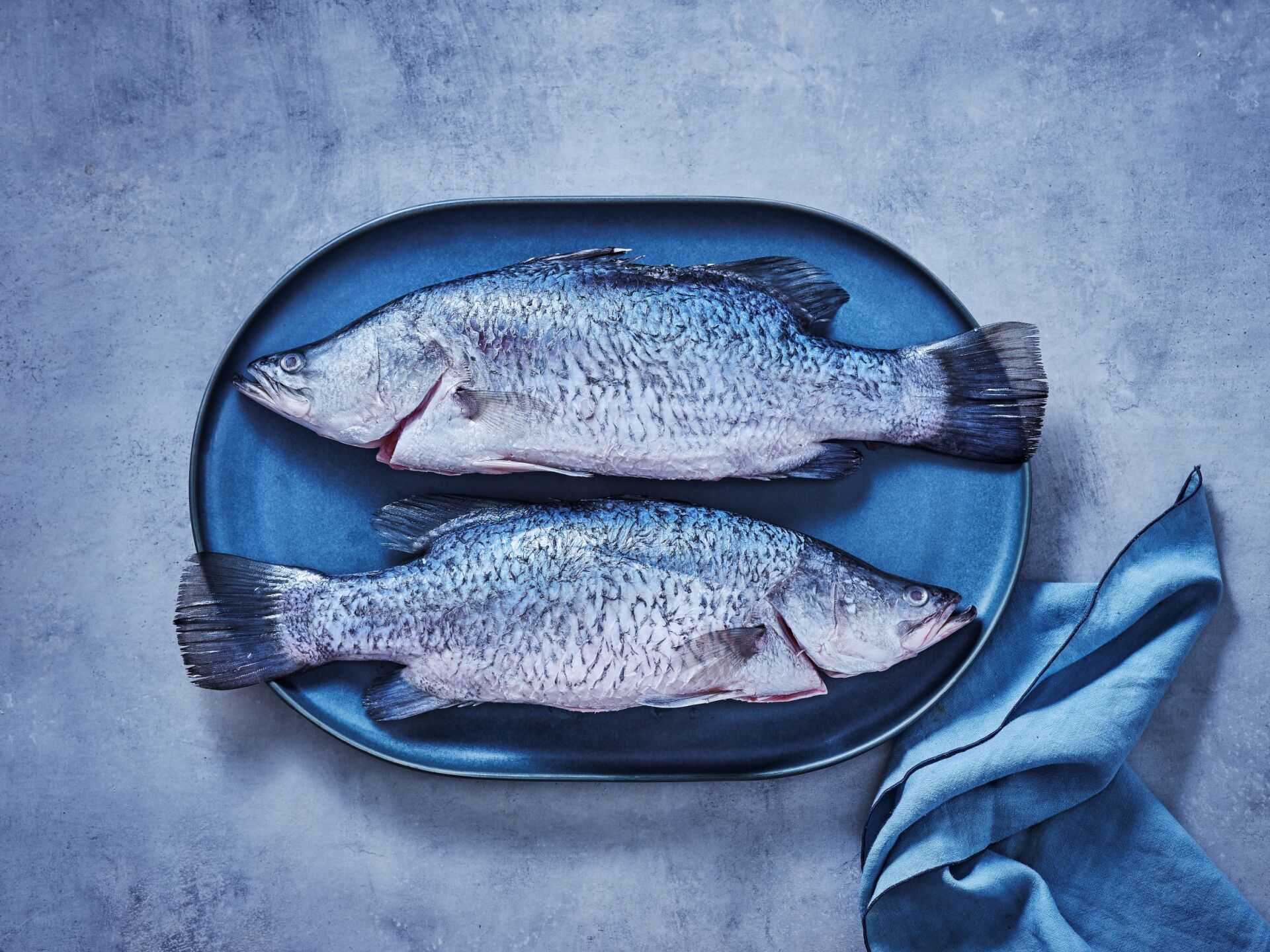 Two raw whole fish arranged on a dark oval plate against a textured, light-blue background with a draped napkin.