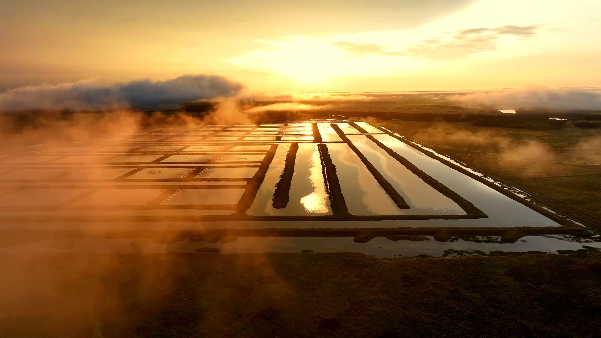Aerial view of rectangular salt evaporation ponds reflecting the golden sunrise amidst low-lying morning mist.