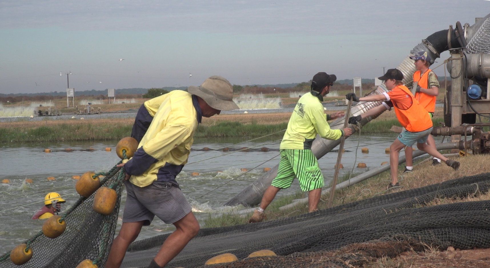 People wearing safety vests and hats work together to haul a large fishing net along a waterfront embankment.
