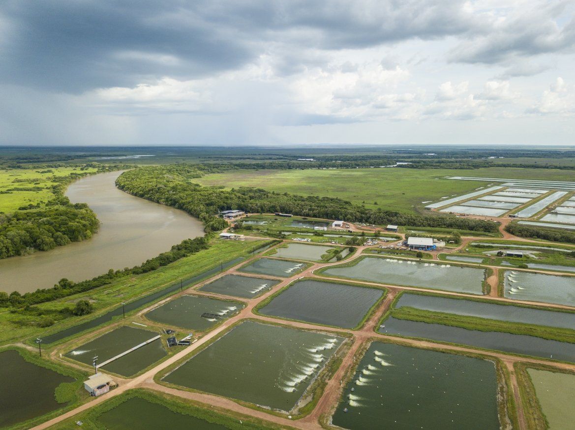 Aerial view of a sprawling aquaculture farm with multiple rectangular ponds next to a winding river under a cloudy sky.