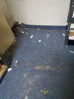 Messy blue carpeted hallway floor with scattered debris and dirt by a wall and shelf