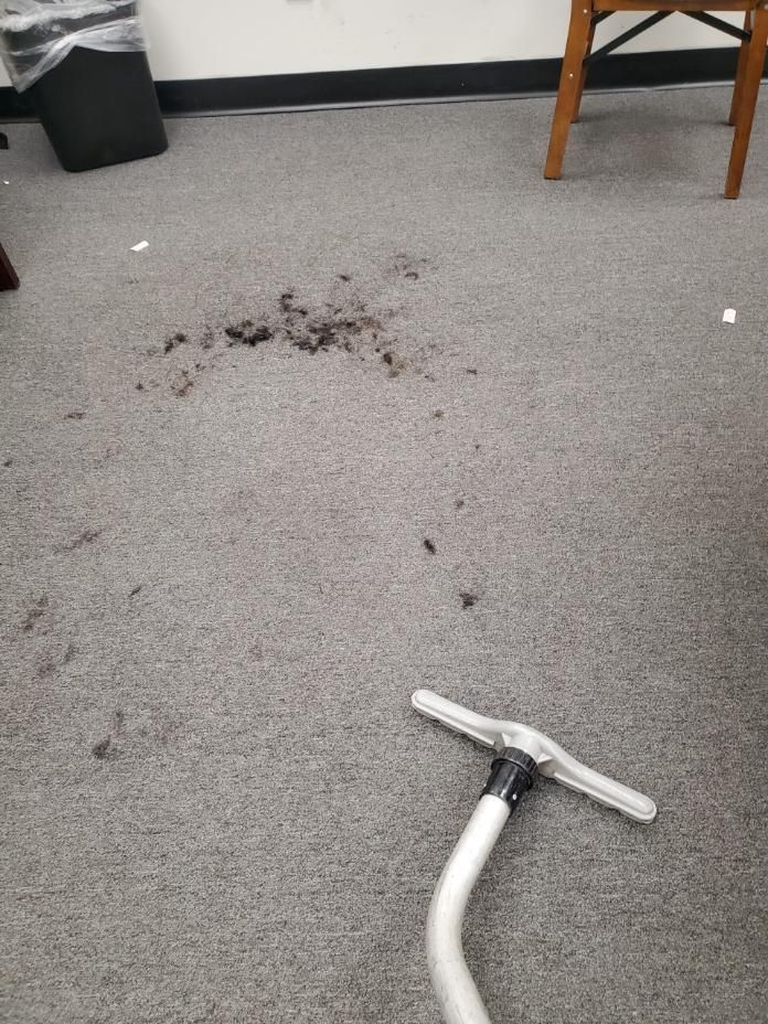 Carpeted room with a vacuum cleaner head and a dark spill or debris on the floor