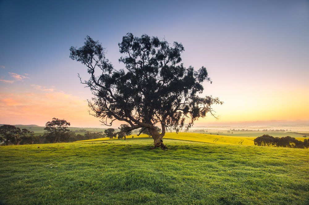 Kundabung — Blinds, Awnings & Shutters in South West Rocks, NSW