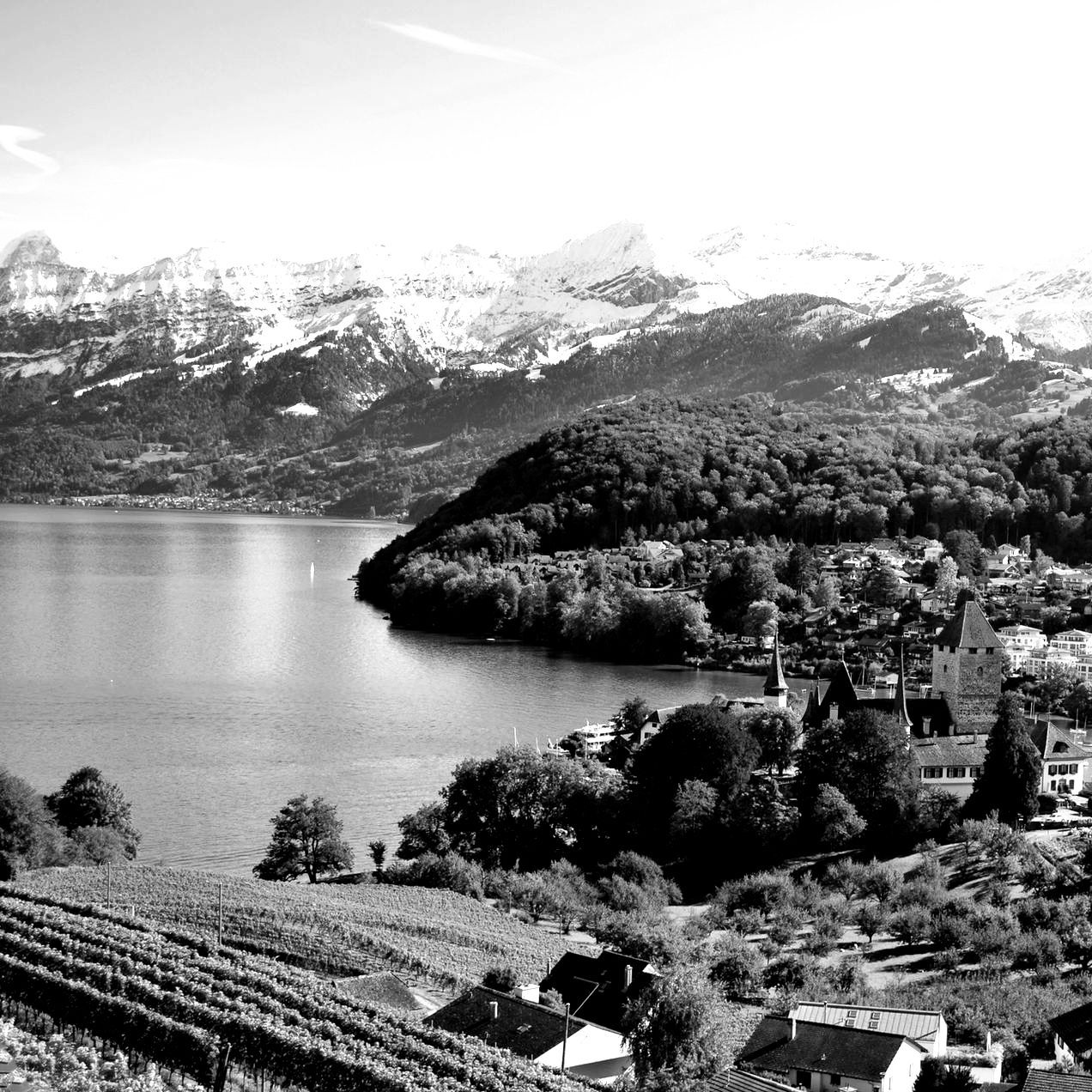 Foto Spiez mit Schloss für die Seite Webdesign Spiez