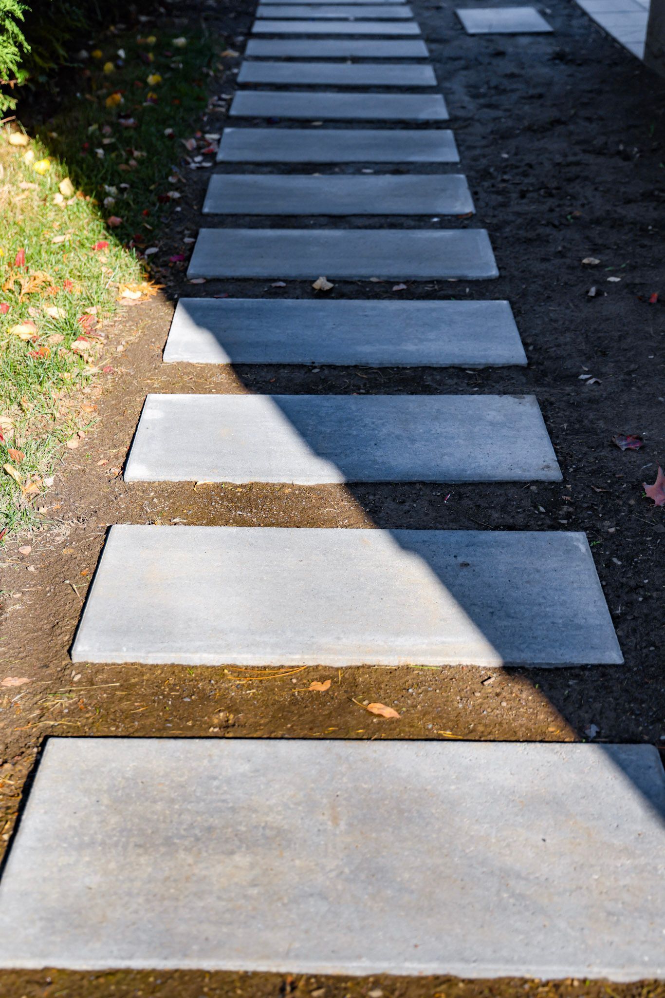 Chemin de dalles rectangulaires en béton traversant une allée de jardin ensoleillée