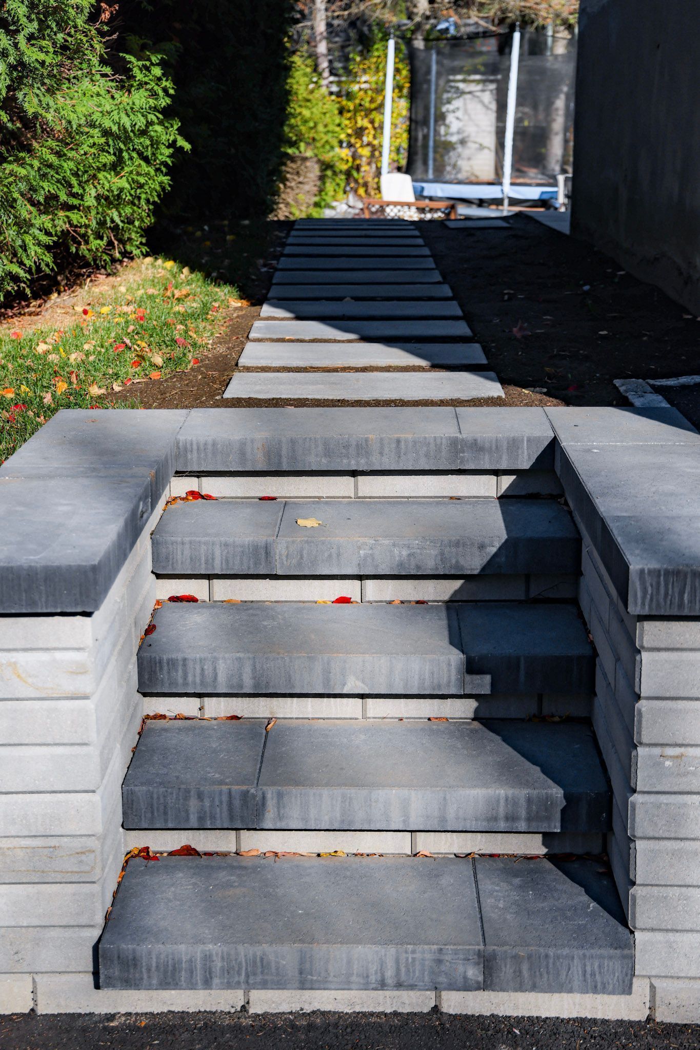 Des marches en béton mènent à une allée ensoleillée entre des haies et un mur sombre.