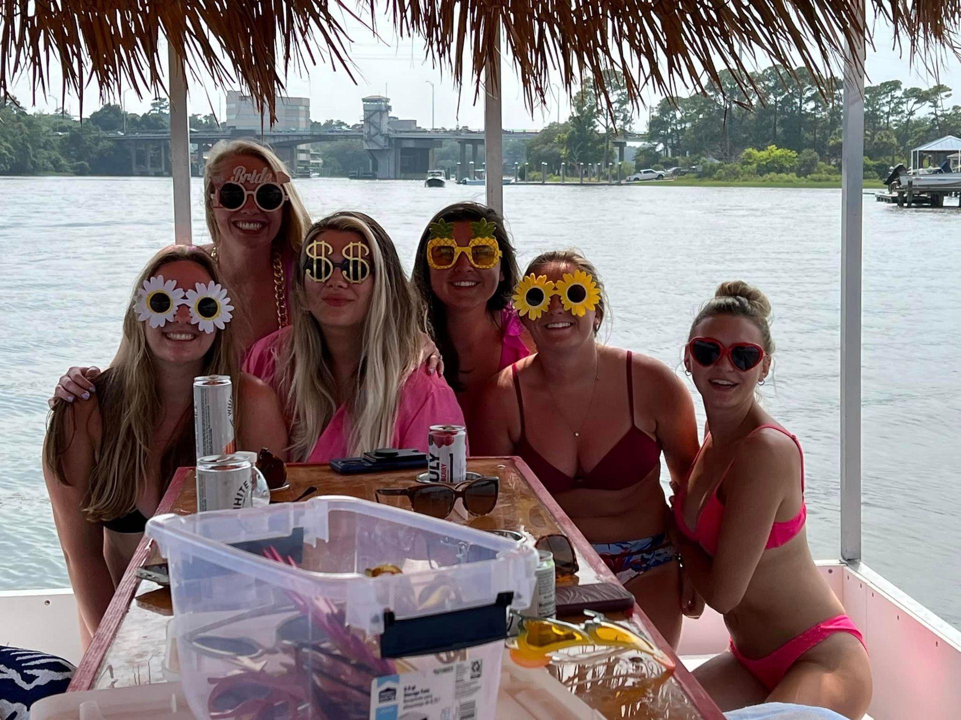 Six women in pink swimwear posing and smiling at a waterfront table under a thatched shade.
