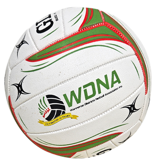 A volleyball with the word wdna on it