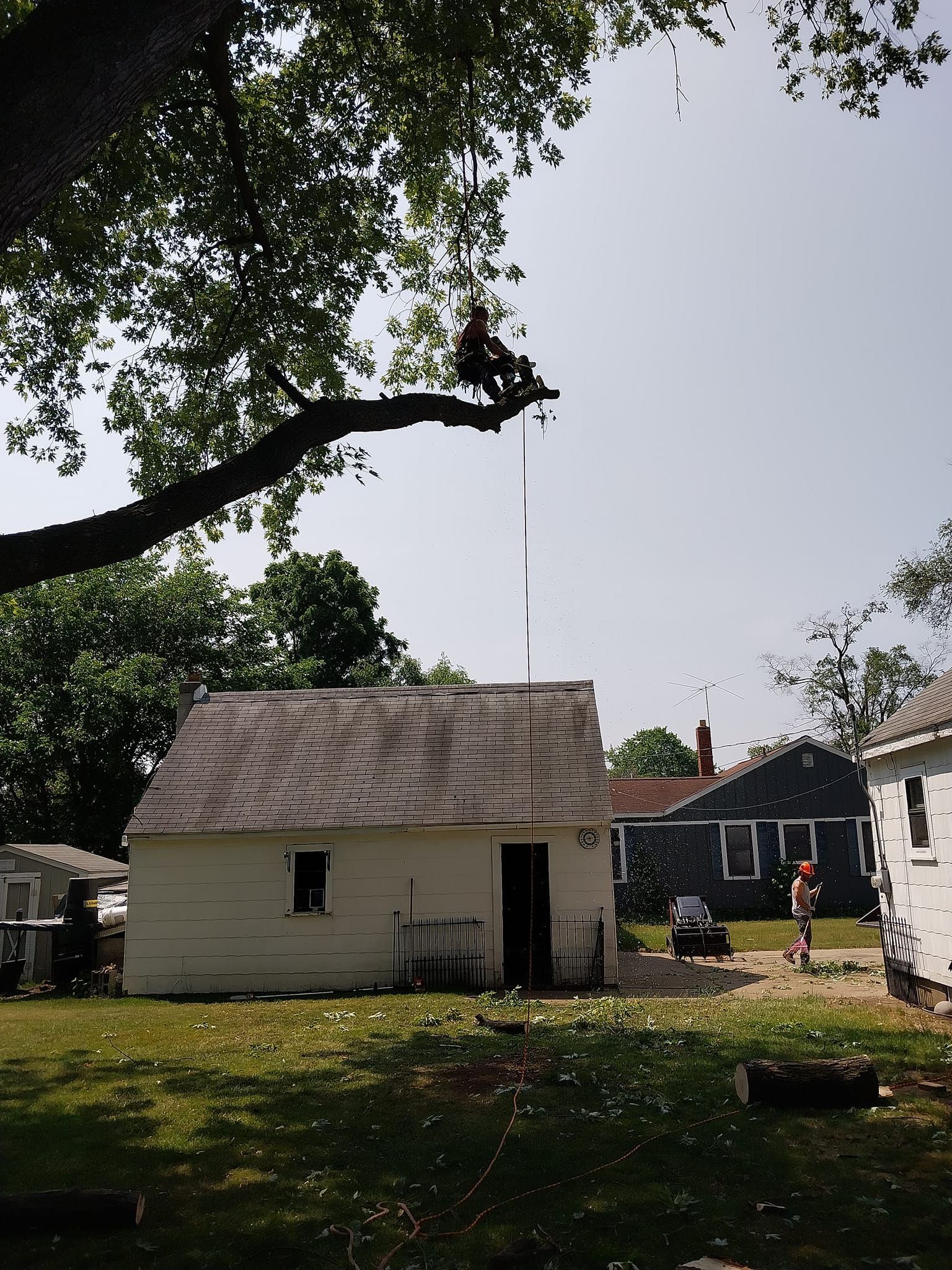 House Under Tree - Clarkston, MI - Logan’s Tree & Landscaping