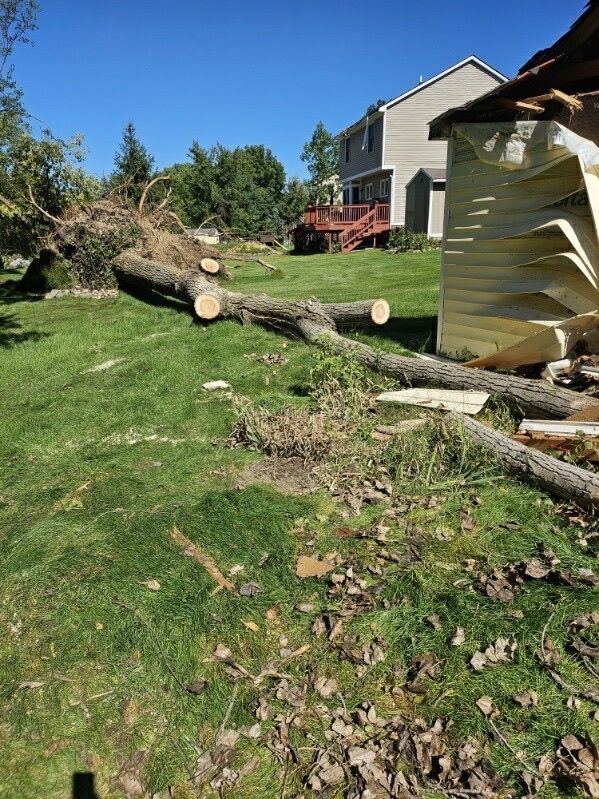 Large fallen tree trunk lies across a grassy yard beside a house on a sunny day.