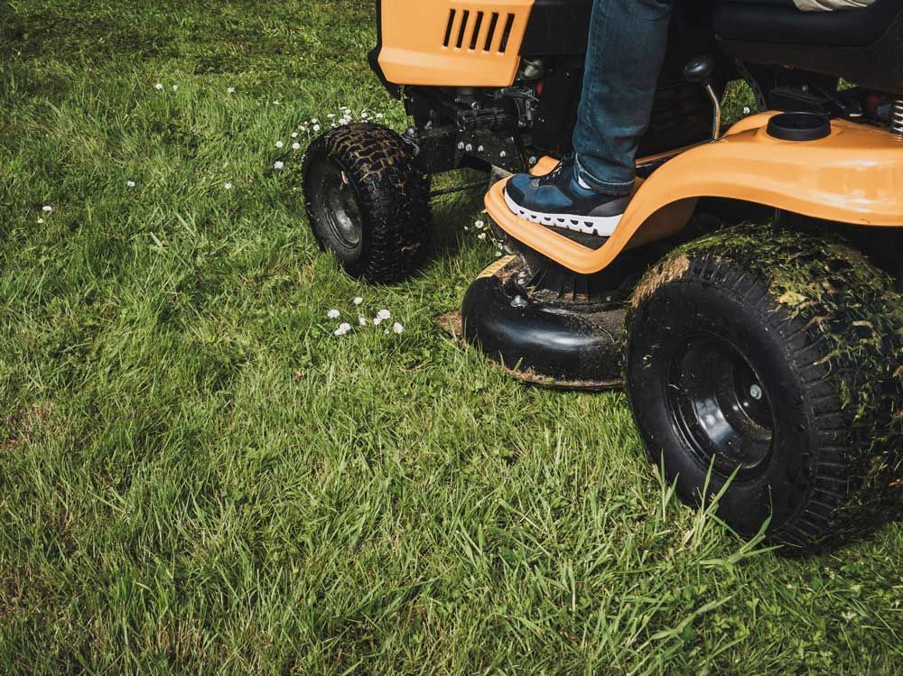 Person riding an orange mower across green grass dotted with small white flowers.