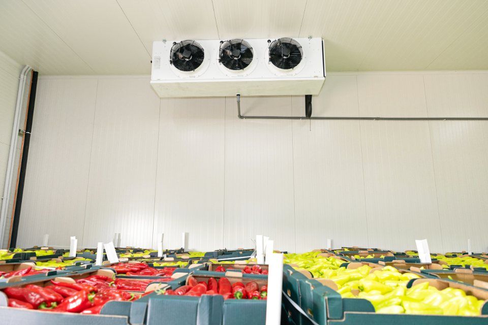 allestimento frigo industriali