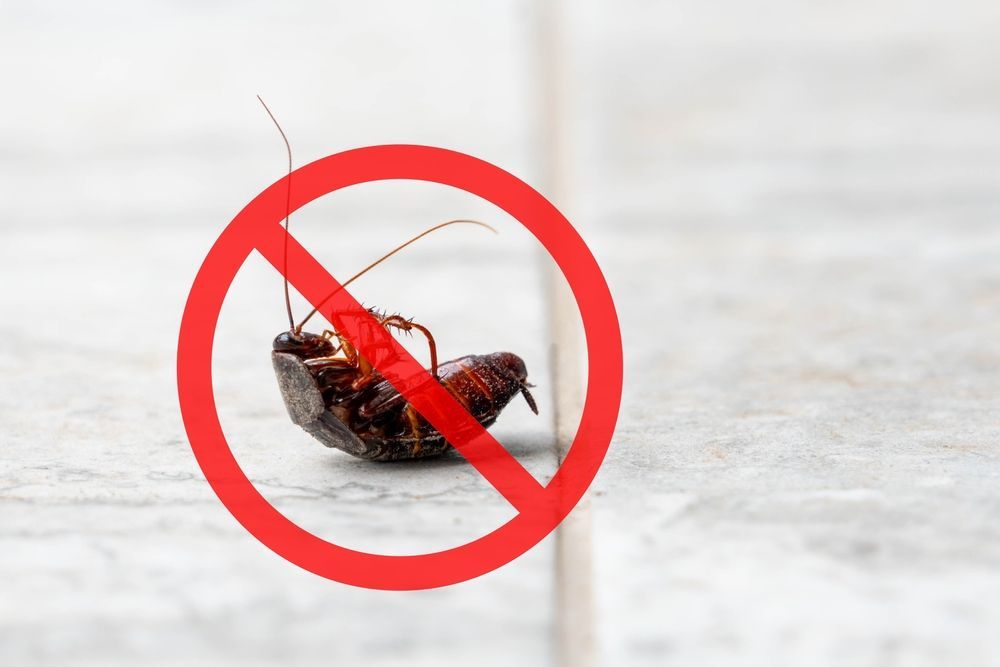 Venice Pest Control