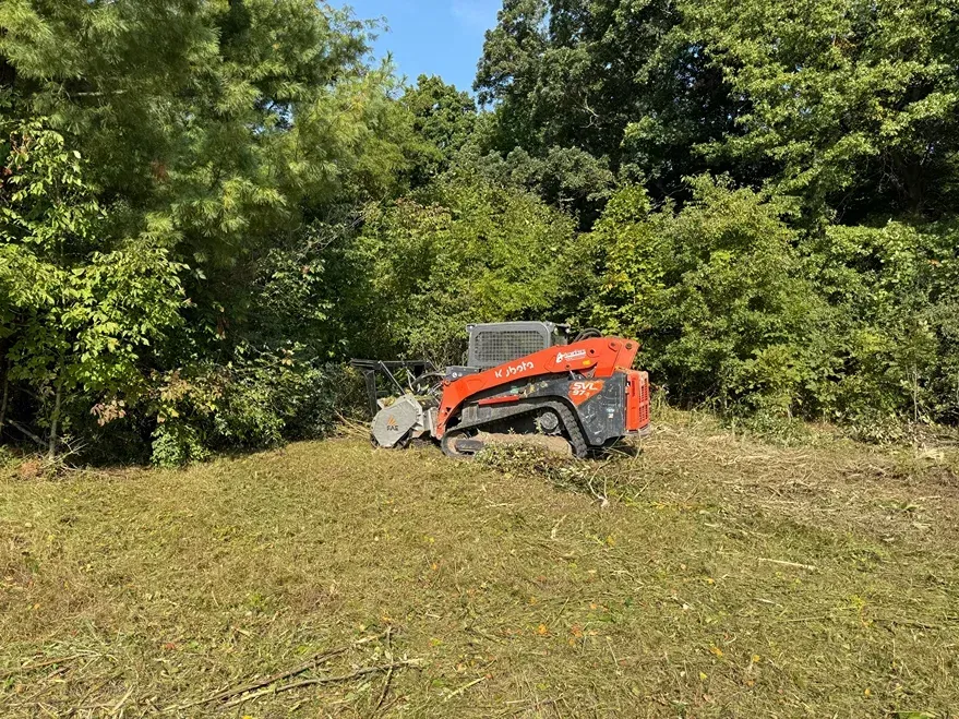 Orange skid steer clearing a grassy field beside dense green trees