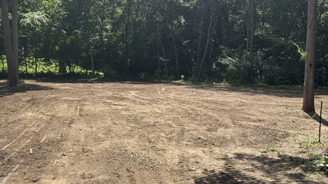 Cleared dirt lot bordered by dense green trees in bright daylight
