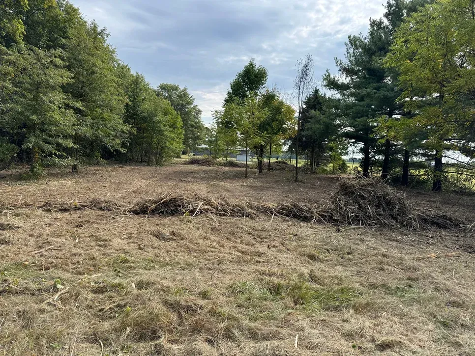 Cleared grassy field bordered by trees under a cloudy sky, with piles of cut brush in the middle.