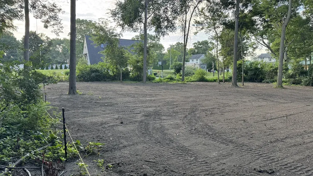 Cleared dirt lot with trees and greenery, beside a small blue building in the background