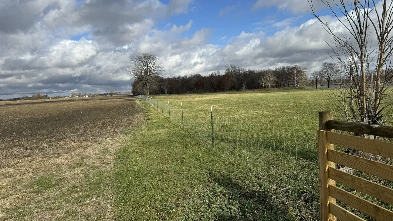 Rural field with a grassy path, cloudy sky, bare trees, and a wooden fence on the right