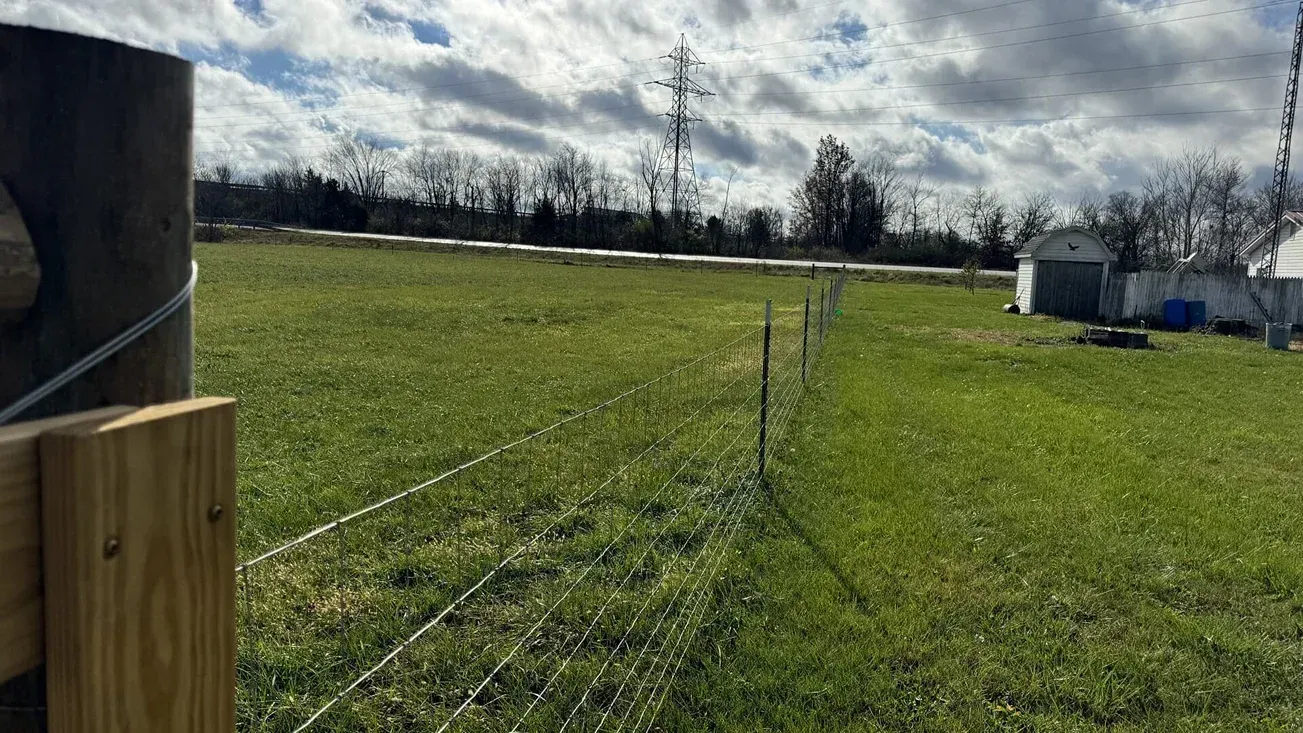 Rural field with a young sapling, a wooden post, cloudy sky, and a small building in the distance
