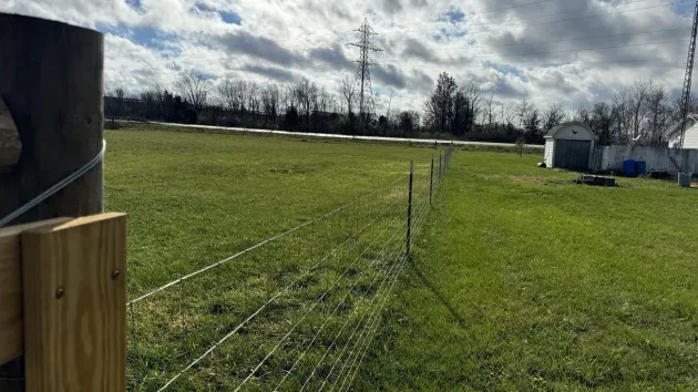 Grassy field with a young tree, power lines, and a cloudy sky near a small building