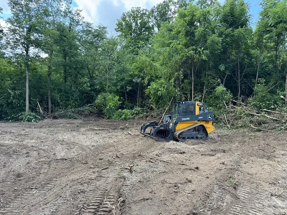 Yellow skid steer clearing dirt in a cleared forest area with trees in the background