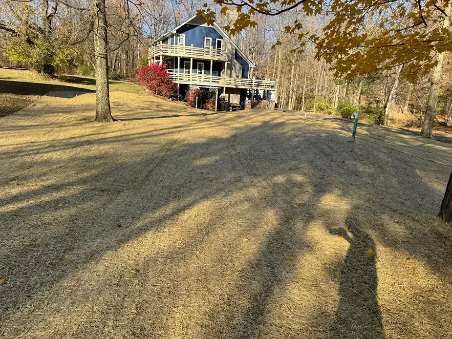 Blue house with a porch on a wooded hillside covered in fallen leaves and long tree shadows