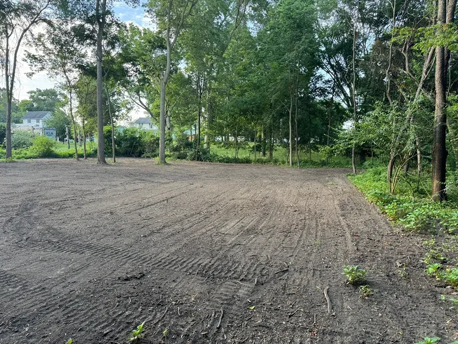 Open dirt lot bordered by trees and greenery on a cloudy day