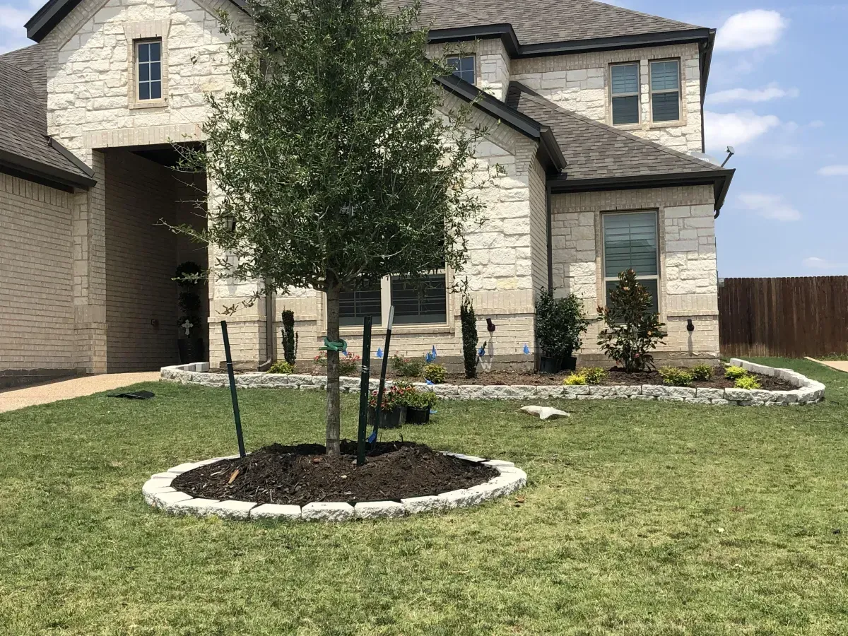 Front yard of a stone house with young trees, mulch beds, and a neatly mowed lawn