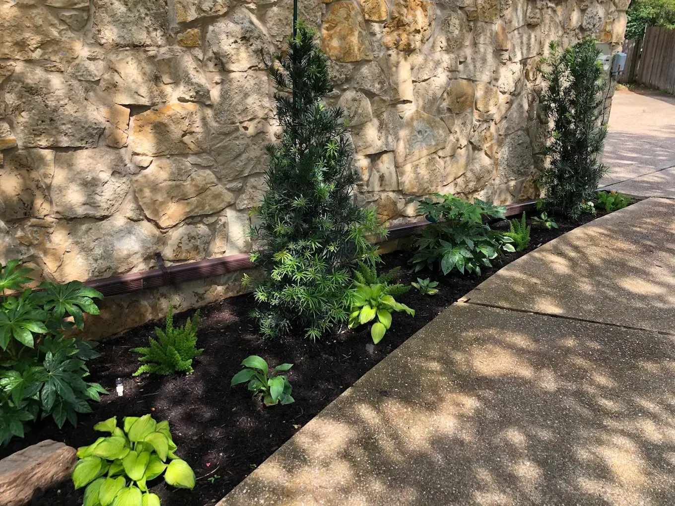 Stone wall beside a garden bed with small green plants along a paved walkway