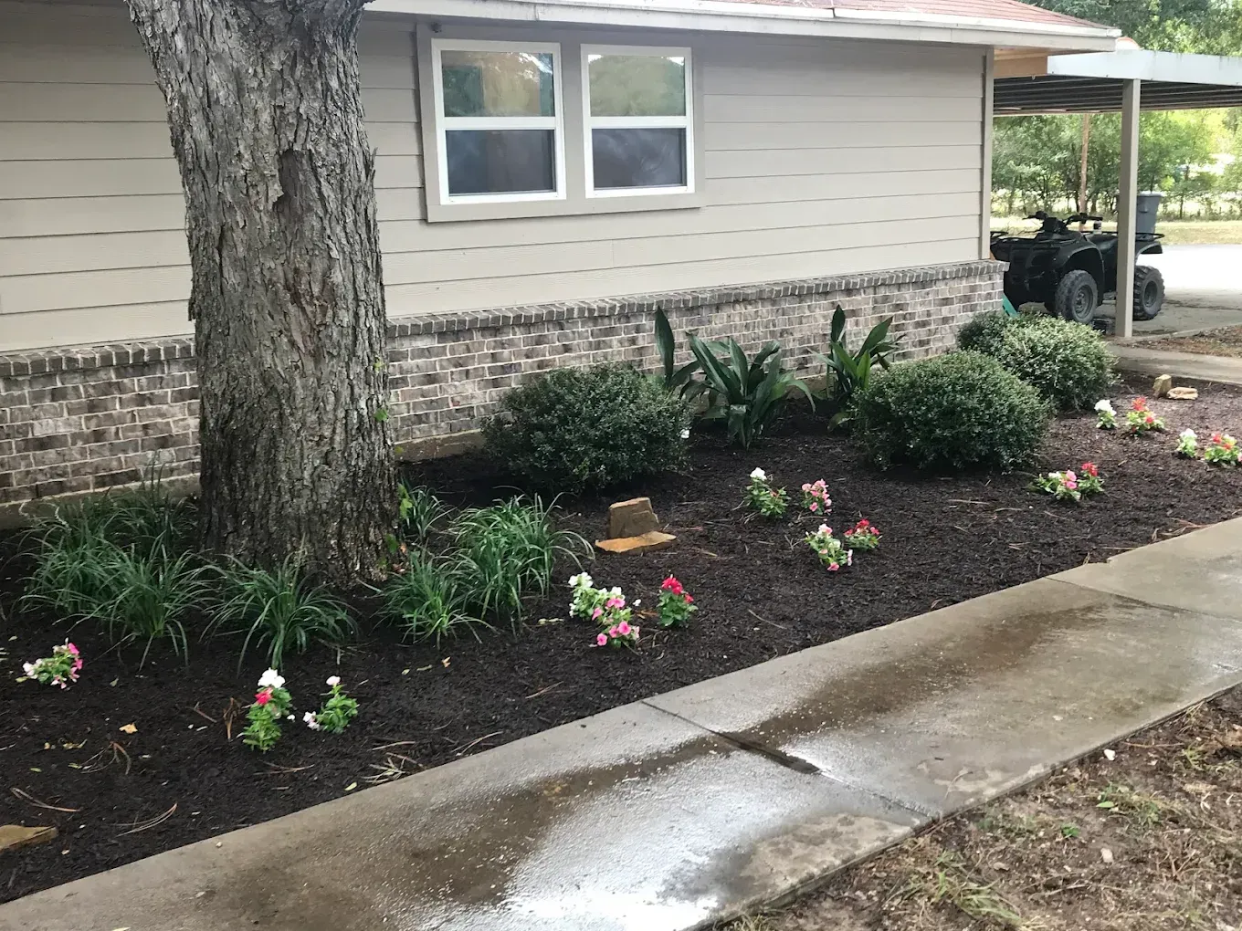 House exterior with flower bed, large tree, and wet sidewalk beside the driveway