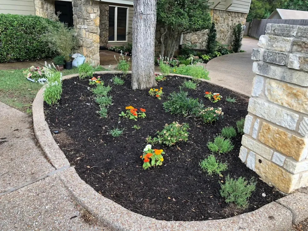 Curved stone flower bed with mulch, small green shrubs, orange flowers, and a tree near a walkway
