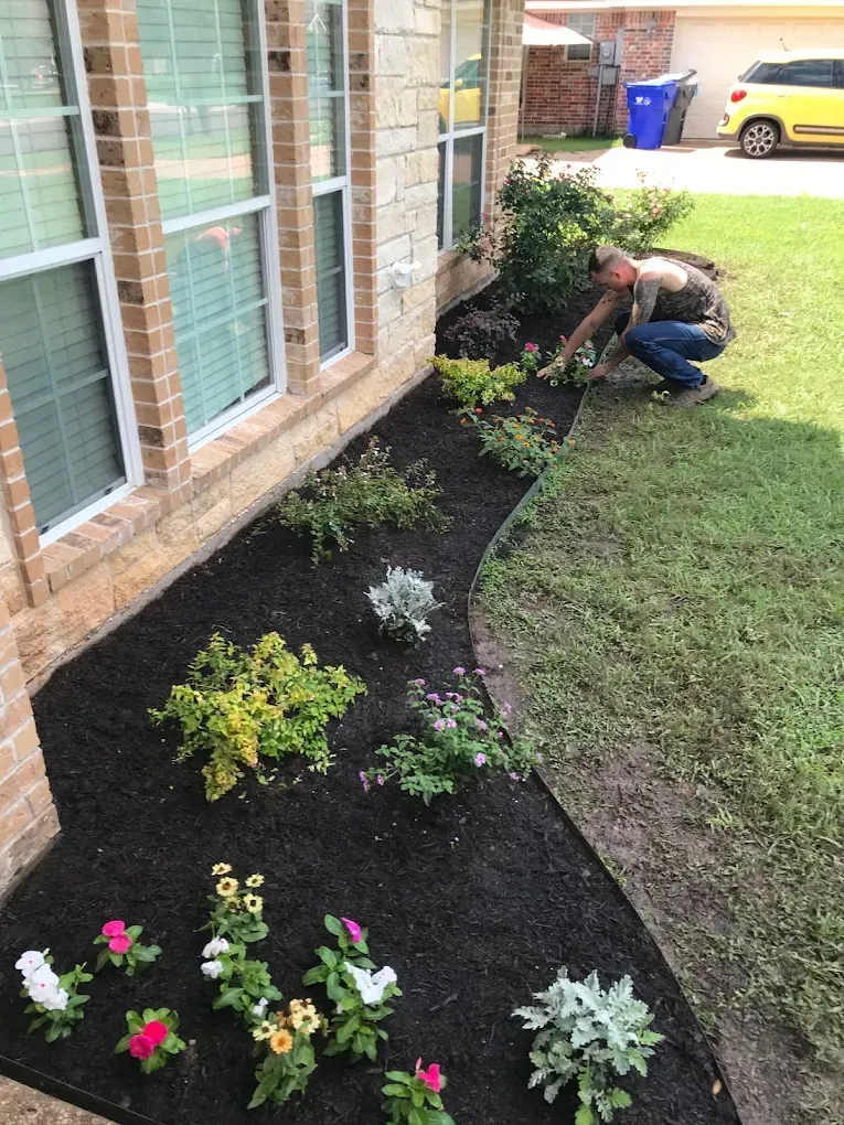 Person kneeling to plant flowers along a house’s foundation beside a lawn and windows